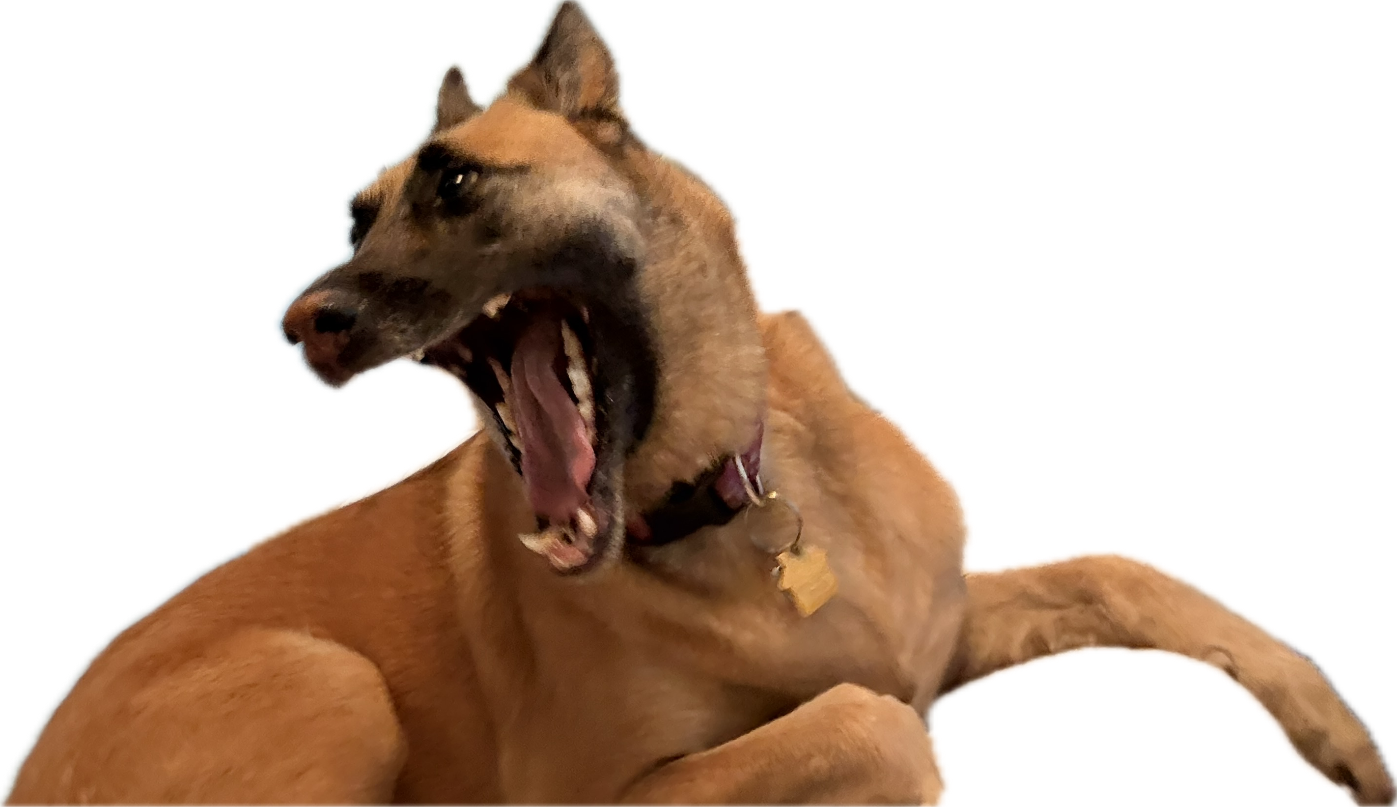 Edna Yawn